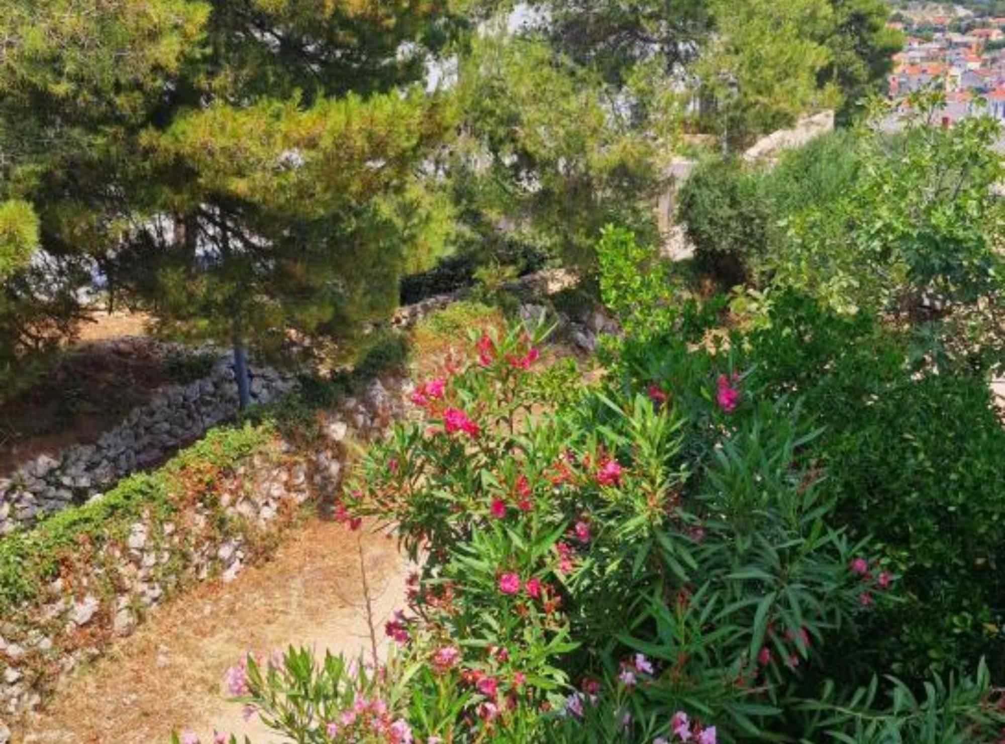 Pansion Belvedere Mali Lošinj Exteriér fotografie